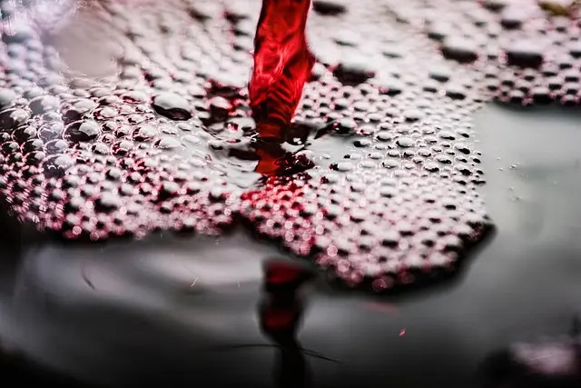 Guide d'achat : Meilleure encre pour calligraphie
